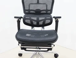 【Ergohuman】エルゴヒューマン Pro Ottoman プロ オットマン オフィスチェア ヘッドレスト有 出張買取 東京都港区