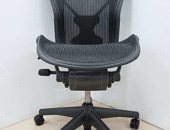 【Herman Miller】ハーマンミラー アーロンチェア ポスチャーフィット アームレス Bサイズ 出張買取 東京都目黒区